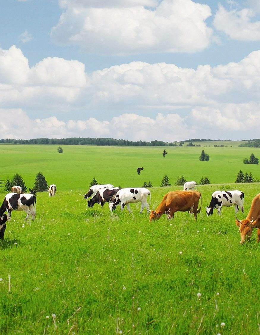 Agripeller Background